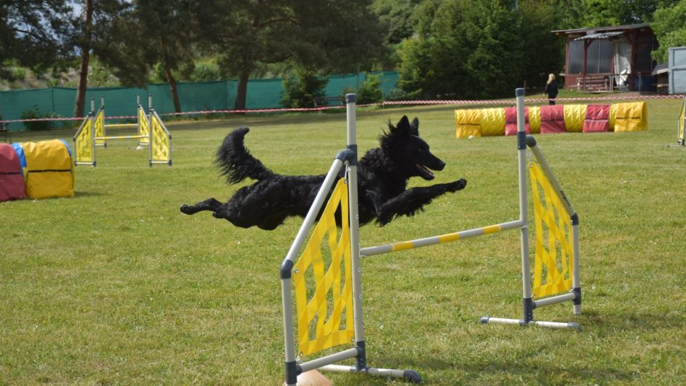 Agility Sezemice