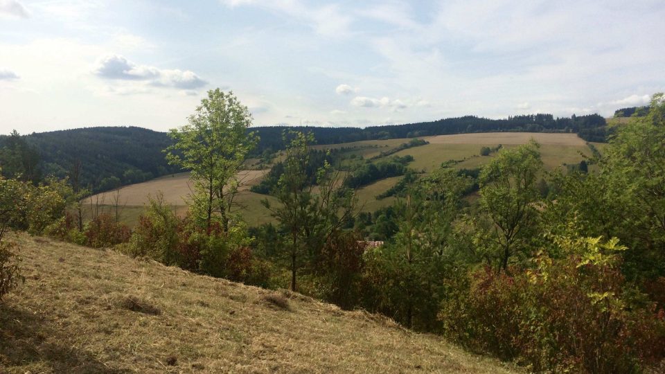 Pastviny u Radiměřic na Svitavsku jsou ideální pro řadu ohrožených rostin i hmyzu