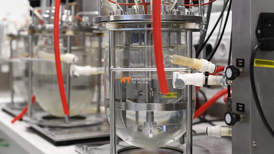 Testovací technologické zařízení pro výrobu kyseliny hyaluronové ve zmenšeném měřítku