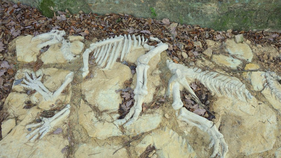 Lom ve Stolanech ukrývá i kostru dinosaura