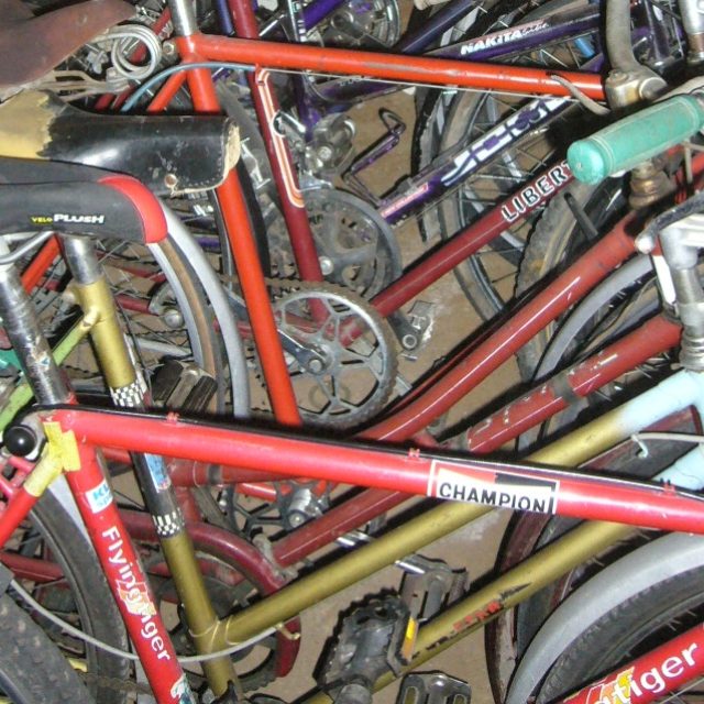 Kola pro Afriku  (ilustrační foto) | foto: Tomáš Mařas,  Český rozhlas