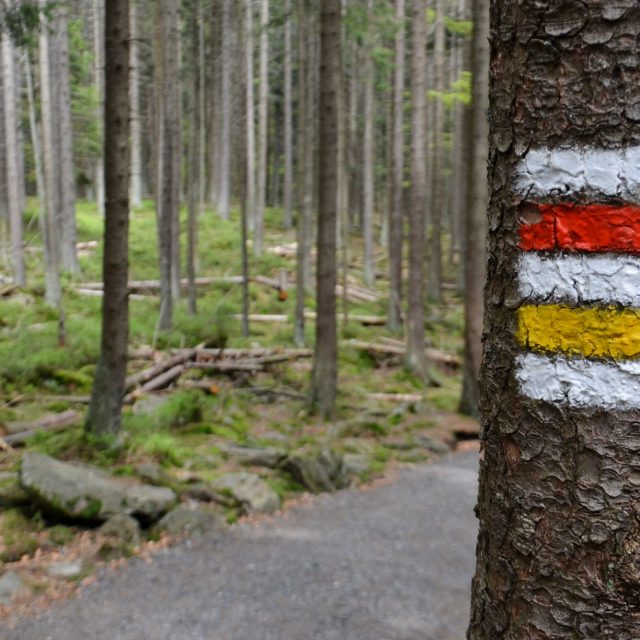 Turistika,  turistická značka,  značení | foto: Anna Jadrná,  iROZHLAS.cz