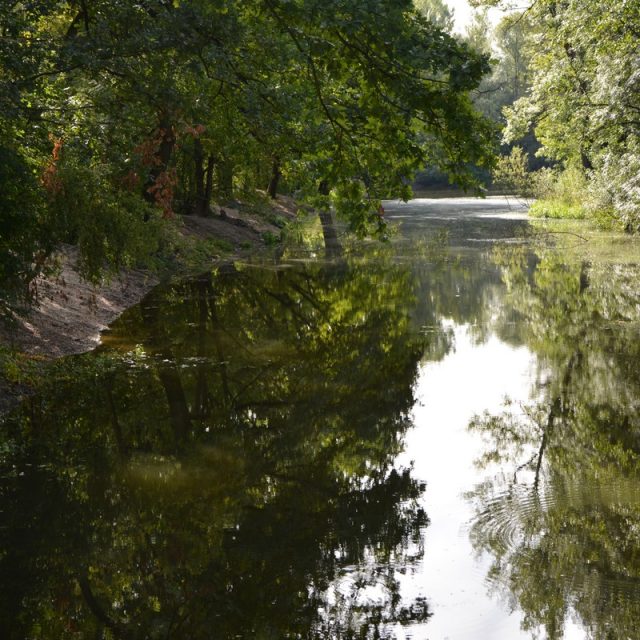 Revitalizce mrtvého ramene Labe | foto:  Město Pardubice