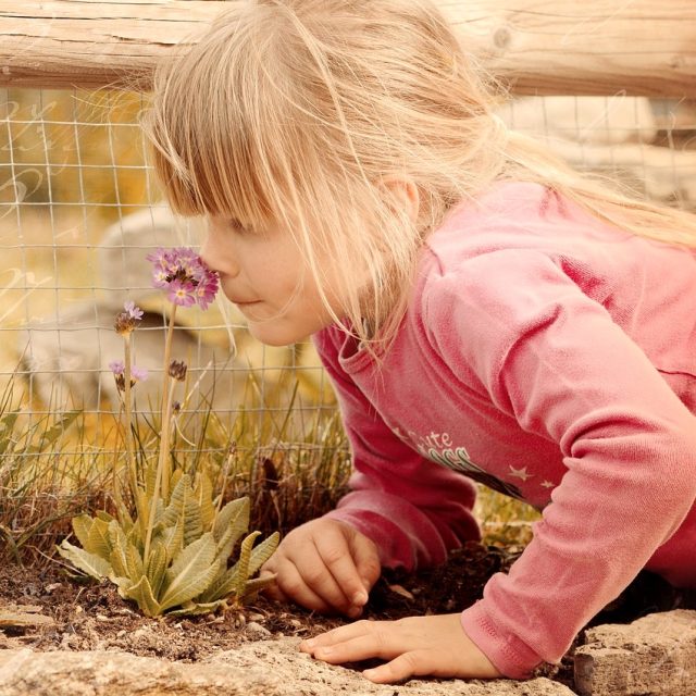 Vůně dokáží pozitivně ovlivnit psychiku  (ilustrační foto) | foto: Fotobanka Pixabay,  CC0 1.0