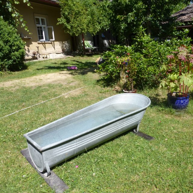 Letní romantika na naší chalupě | foto: Irena Fuchsová,  Český rozhlas