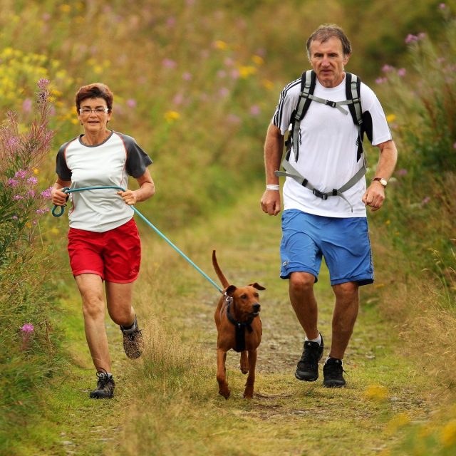 Na běh se psy se vydávají mnozí nadšenci. Za dogtrekking lze ale považovat trasy od 80 km | foto: Václav Šlauf / MAFRA / Profimedia,  Profimedia