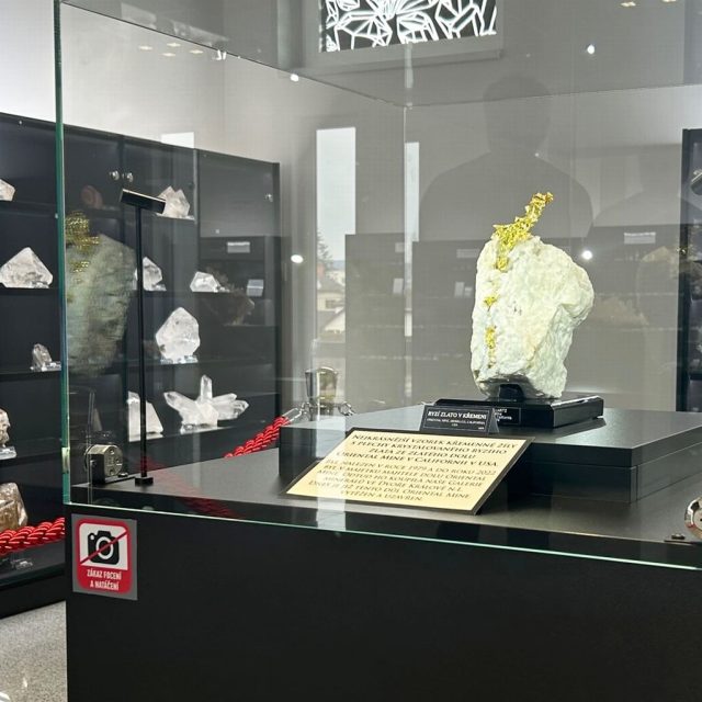 Křemen s lístky ryzího zlata zdobí nově Galerii minerálů ve Dvoře Králové | foto: Václav Plecháček,  Český rozhlas