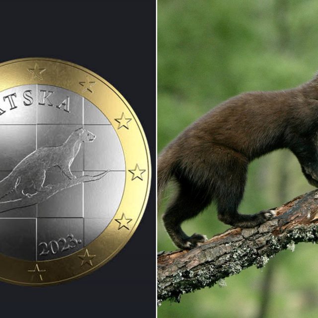 Kuny | foto: Profimedia