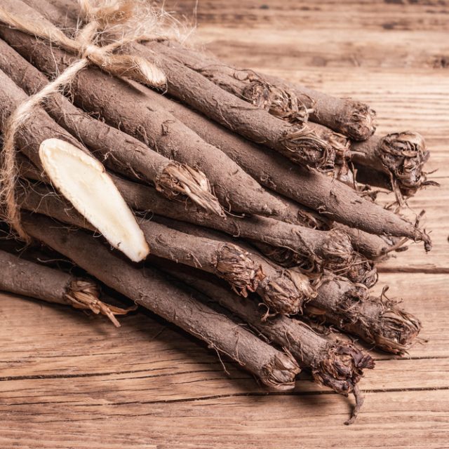 Černý kořen | foto: Shutterstock