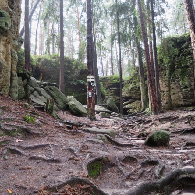 Pohled na skalní masiv Toulovcovy maštale | foto: Tereza Brázdová,  Český rozhlas