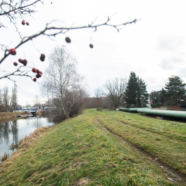 Část levého břehu Chrudimky by mohla sloužit jako součást propojky s Labskou ulicí v Pardubicích | foto: Josef Vostárek,  ČTK
