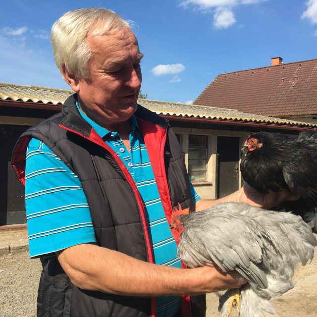 Předseda chovatelů Svinčany Josef Blažek se zakrslými kočinkami | foto: Jitka Slezáková,  Český rozhlas