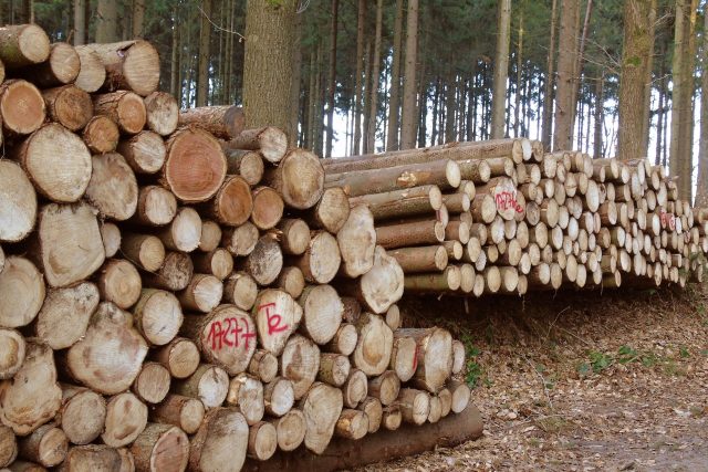 Dřevorubci na Chrudimsku přestávají těžit,  nevyplatí se to  (ilustrační foto) | foto: Fotobanka Pixabay,  CC0 1.0