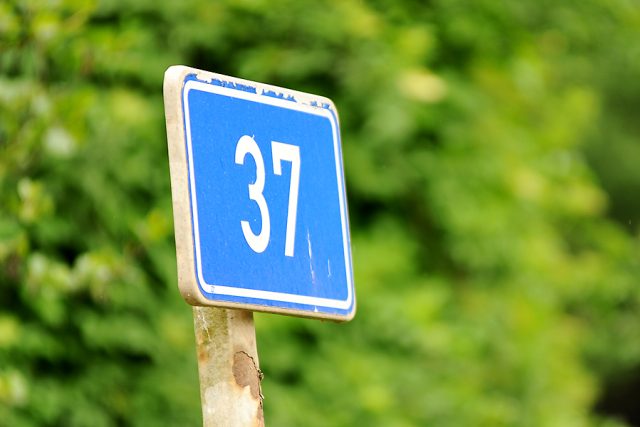 Chodci frekventovanou silnici I/37 často mezi sídlištěm a zastávkou přebíhají | foto: Honza Ptáček,  Český rozhlas