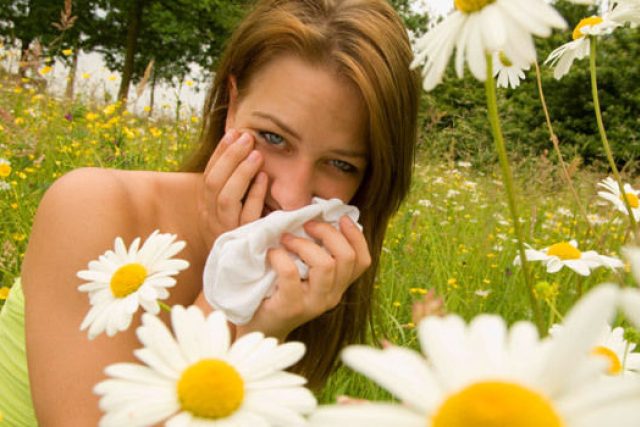 V Česku trpí alergií zhruba 25 procent populace  (ilustrační foto) | foto: Sarah Wassner Flynn