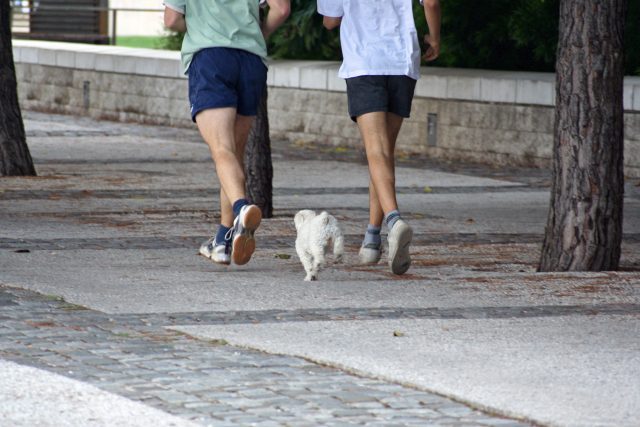 Běhat se dá v přírodě i ve městě | foto: Fotobanka stock.xchng
