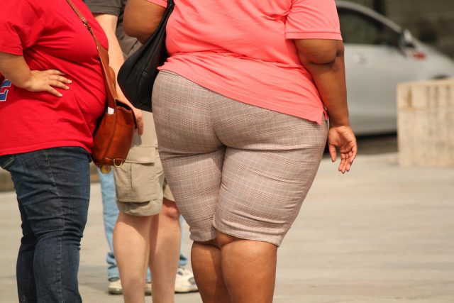 Obezita | foto: CC0 Public domain,   Cocoparisienne