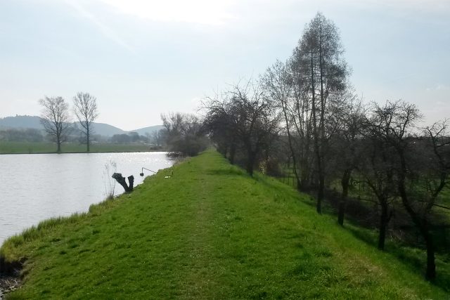 Hráz rybníka v Ronově nad Doubravou protéká. Okolní domy ale voda neohrožuje | foto: Josef Kopecký,  Český rozhlas