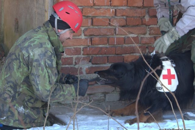 Trénink psích záchranárů | foto: Pavel Spálený
