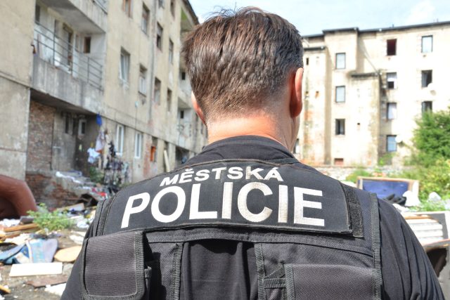 Noví městští policisté v Heřmanově Městci nebudou nosit služební zbraň  (ilustrační foto) | foto: Martin Dušek