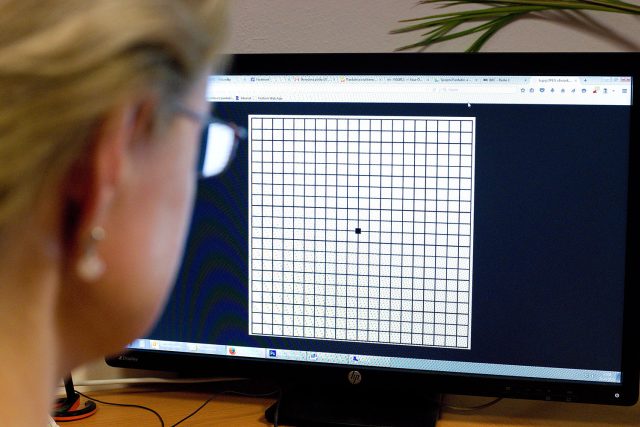 Amslerova mřížka umožňuje rychlý test i u počítače | foto: Honza Ptáček,  Český rozhlas