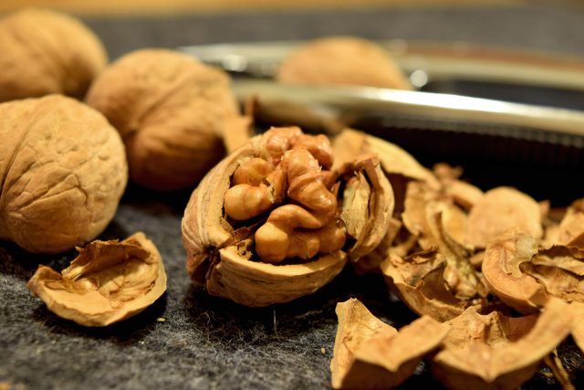 Vlašské ořechy,  skořápka  (ilustrační foto) | foto: Fotobanka Pixabay