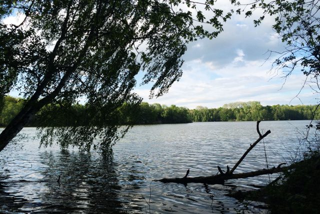 Rybníky na Bohdanečsku jsou v krásné přírodě | foto: Honza Ptáček,  Český rozhlas