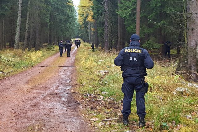 Policisté trénují hledání ztraceného houbaře v brdských lesích | foto: Monika Červená,  Český rozhlas