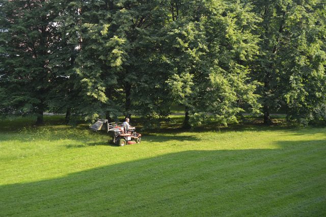 Sekáči v Chrudimi posekanou trávu nesbírají | foto: Pavlína Boháčová