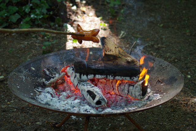 Před pár měsíci jsme na chalupě udělali oheň a opékali špekáčky. Aby oheň hořel a špekáčky se opekly,  museli jsme pro to něco udělat | foto: Fotobanka Pixabay