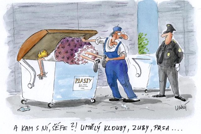Kreslený humor Lubomíra Lichého | foto: Lubomír Lichý
