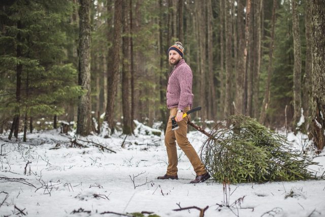 Muž krade v lese vánoční stromek  |  Foto: Profimedia | foto: Profimedia