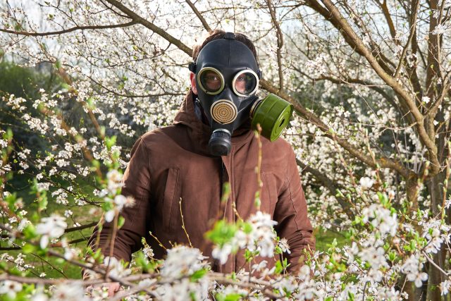 Taky byste si na jaře potřebovali nasadit plynovou masku,  aby jste nedýchali pyl a nepšíkali? | foto: Shutterstock