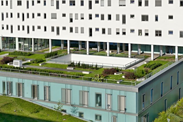 Na střeše jedné z budov Fakultní nemocnice Plzeň jsou vysázené keře,  tráva a další rostliny  (ilustrační foto) | foto: ENVIC