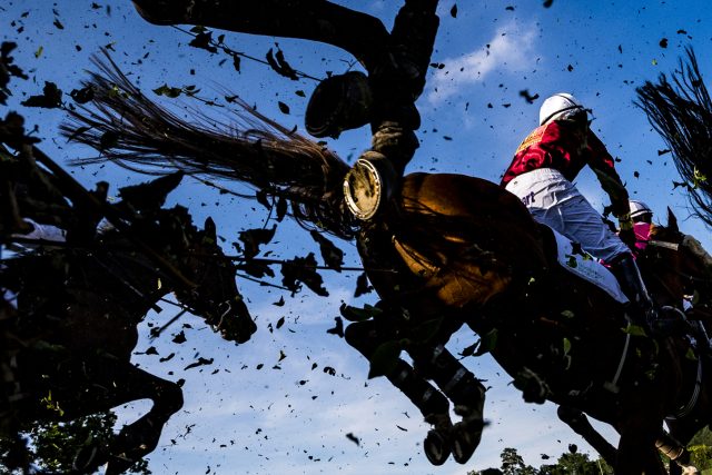 Koně s žokeji překonávají při dostihovém mítinku v Pardubicích  (červen 2019). Snímek je součástí sbírky fotografií,  se kterými Roman Vondrouš zvítězil v kategorii Fotografický soubor na kongresu Mezinárodní asociace sportovních novinářů v Budapešti | foto: Roman Vondrouš,  ČTK