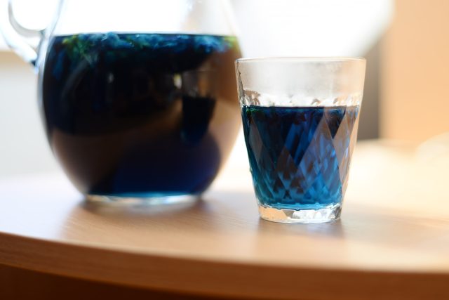 Z klitorie se dá připravit čaj sytě modré barvy | foto: Honza Ptáček,  Český rozhlas