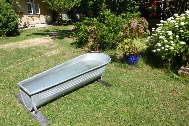 Letní romantika na naší chalupě | foto: Irena Fuchsová,  Český rozhlas