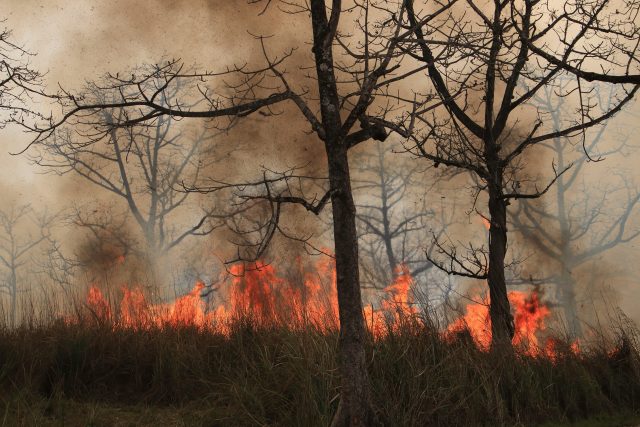 Vypalování staré trávy je zakázané a nebezpečné  (ilustrační foto) | foto: Profimedia