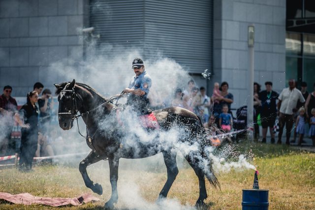 Na výstavě Koně v akci se dpředstavila i Městská policie Pardubice | foto: Jiří Sejkora