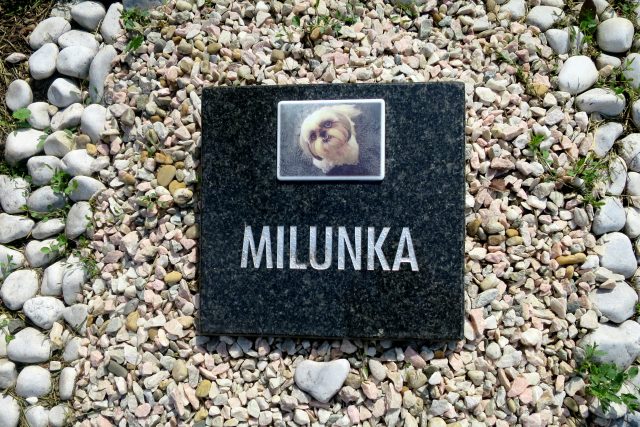 Jeden z náhrobků na animálním hřbitově v Pardubicích | foto: Tereza Brázdová,  Český rozhlas