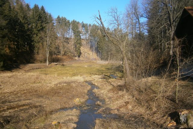 Dolní rybník v Janovické oboře na Chrudimsku | foto: Lesy ČR