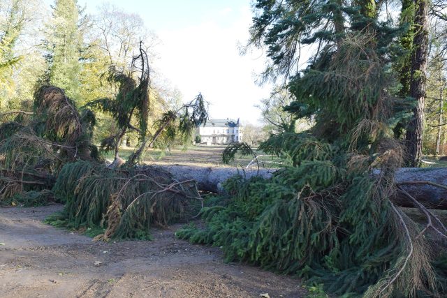 V zámeckém parku ve Slatiňanech vítr polámal a vyvrátil několik stromů | foto: Jaroslav Bušta