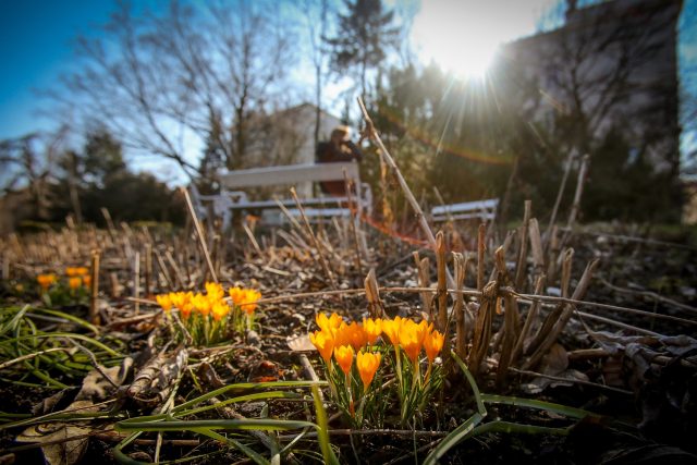 Zahrada se na jaře probouzí  (ilustrační foto) | foto: David Peltán,  MAFRA / Profimedia