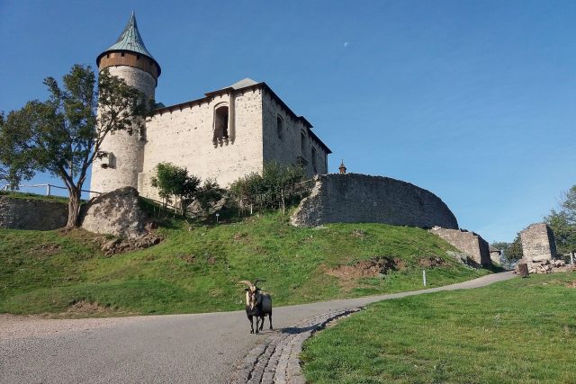 Příchod ke státnímu hradu Kunětická hora | foto: Tereza Brázdová,  Český rozhlas