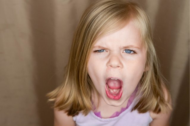 Proč se vztekáme? | foto: Shutterstock