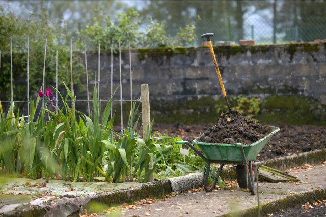 Podzimní hnojení zahrady | foto: Profimedia