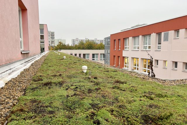 Zelená střecha na základní škole Erno Košťála na sídlišti Dubina v Pardubicích | foto: Ondřej Wolf,  Český rozhlas