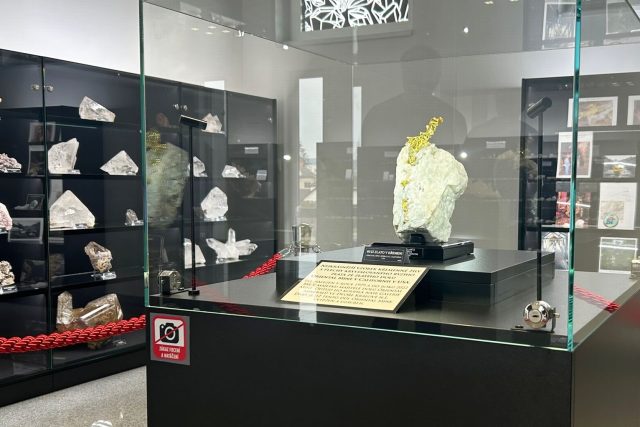 Křemen s lístky ryzího zlata zdobí nově Galerii minerálů ve Dvoře Králové | foto: Václav Plecháček,  Český rozhlas
