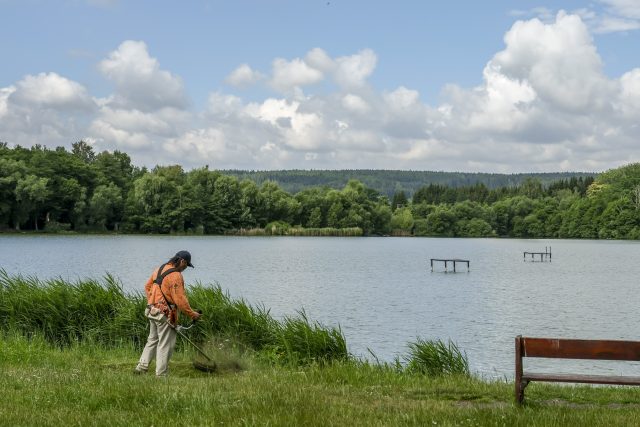 Údržba břehů rybníku Rosnička u Svitav | foto: Radek Kalhous,  MAFRA / Profimedia