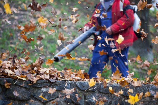 Fukar na listí na podzim na zahradě ulehčí práci | foto: Profimedia